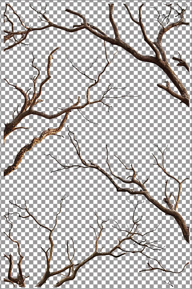Ramas secas de árboles fuertes y hermosas perfectas para la decoración rústica hiperrealista llanura blanca aislada