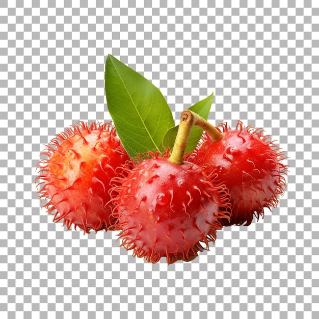 Rambutan em fundo transparente