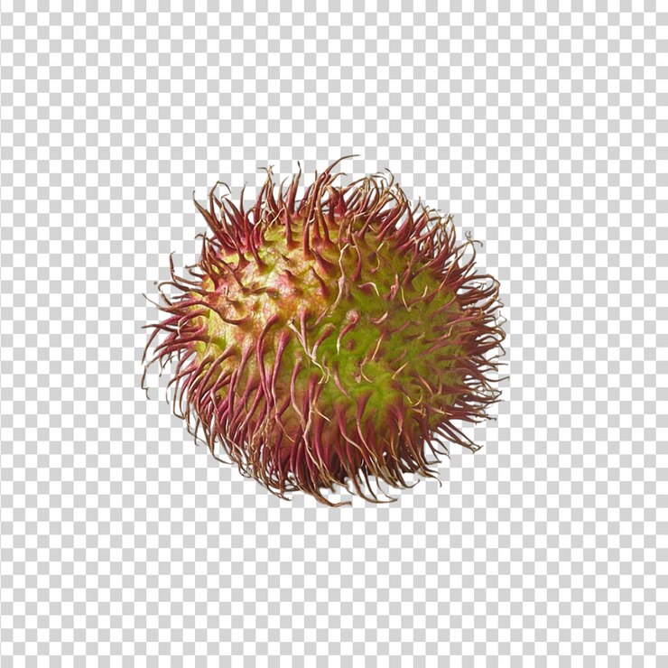 PSD un rambutan fresco aislado en un fondo transparente