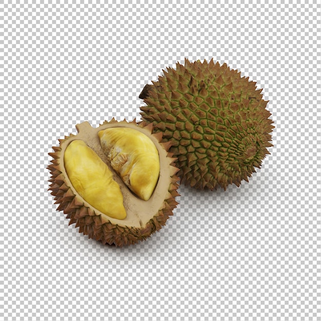 Rambutan isométrico