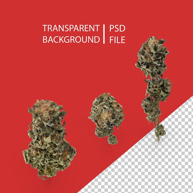 Ramo De Cannabis PNG