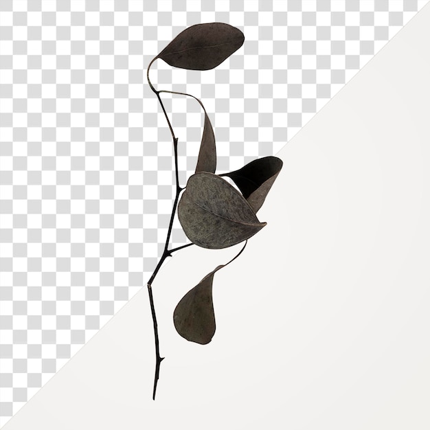 Ramo de folha de inverno adesivo png fundo transparente