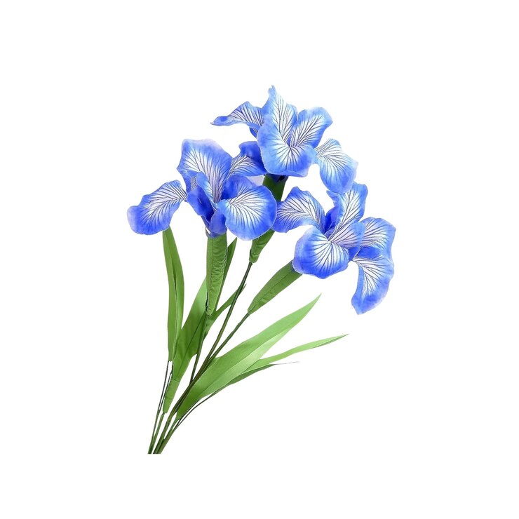 PSD ramo de flores de iris azul aislado sobre un fondo blanco