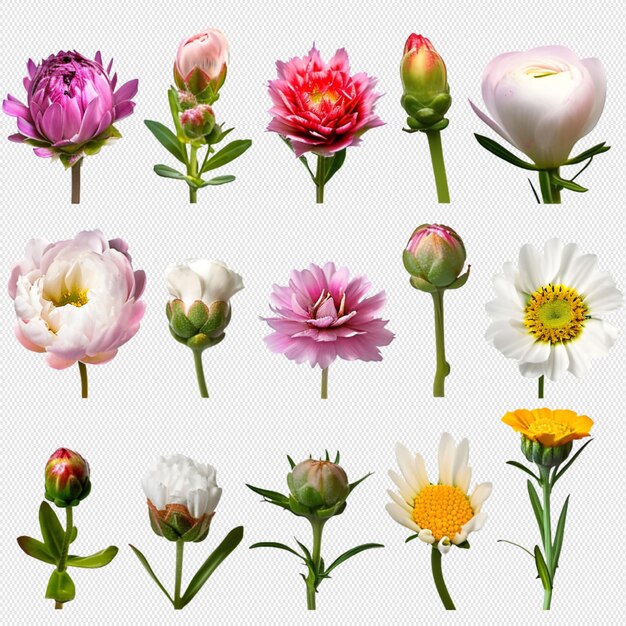 PSD ramo de flores png