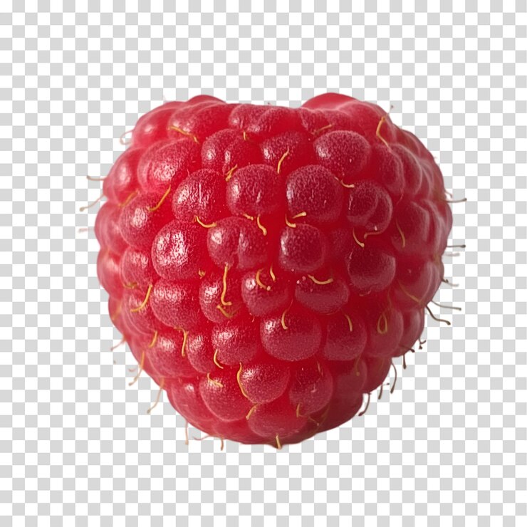 PSD un ramo de frambuesas con una hoja verde aislada en un recorte png de fondo transparente