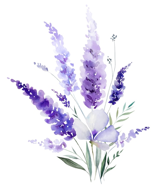 Ramo hecho de flores de lavanda de acuarela flores silvestres púrpuras ilustración aislada de boda