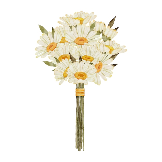 Ramo de mano de flor de margarita acuarela