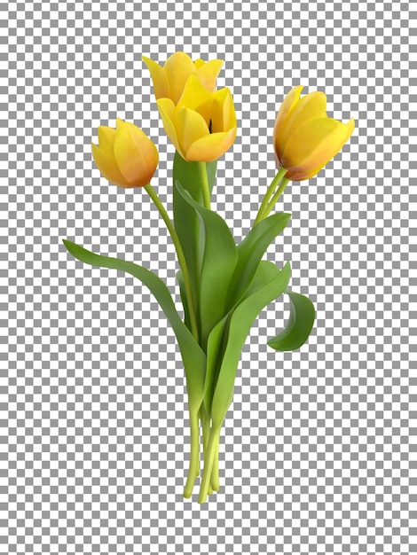 Ramo de tulipanes amarillos sobre fondo transparente