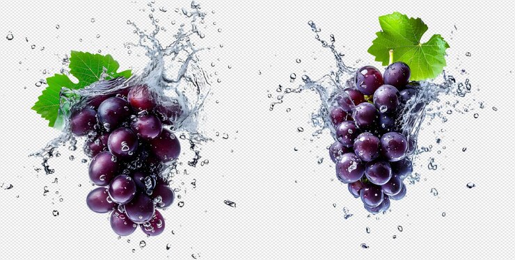 Ramo de uvas aislado