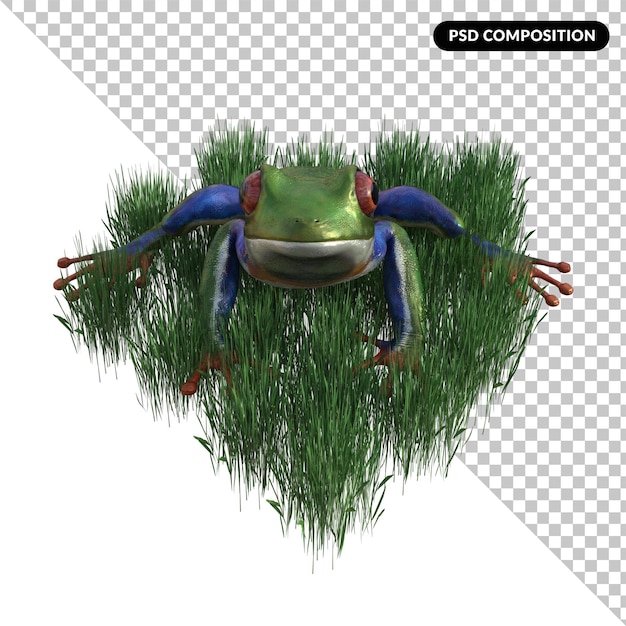Rana animal aislado 3d