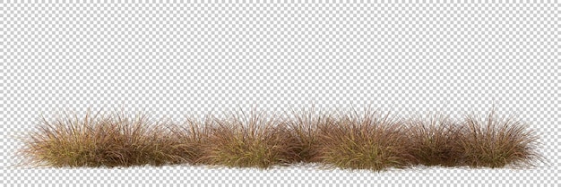 PSD rangée de champ d'herbe de savane sur fond transparent rendu 3d