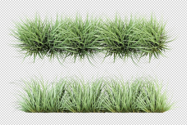 une rangée d'herbe qui pousse sur un fond blanc