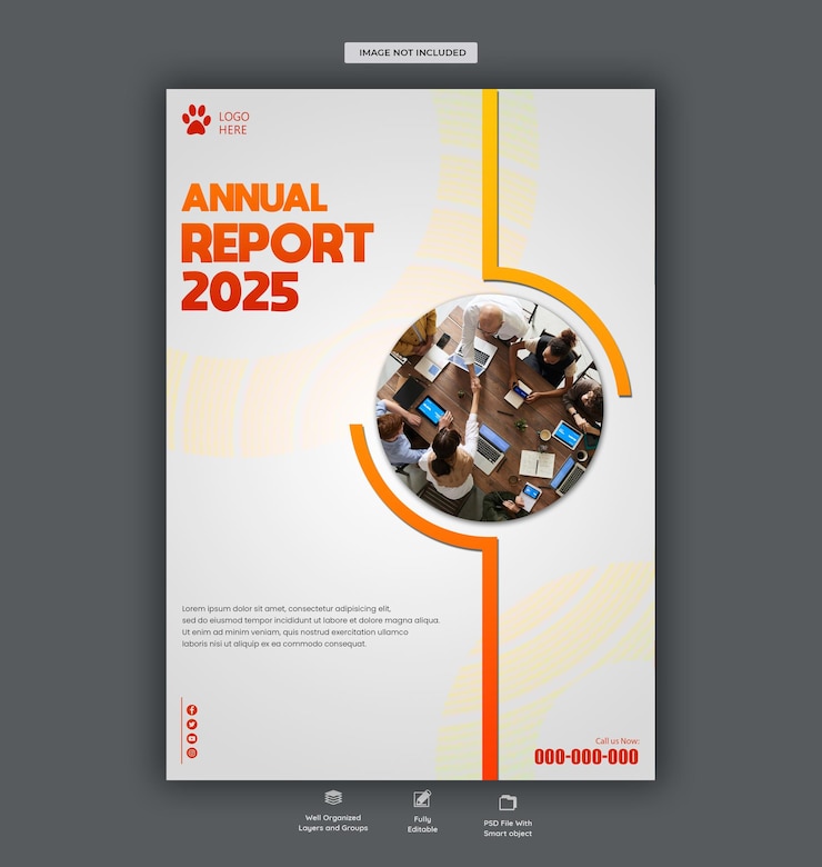 PSD rapport annuel pour l'année 2025