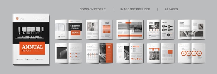 PSD rapport annuel