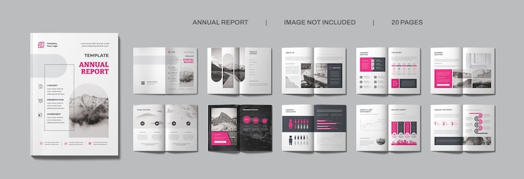 PSD rapport annuel