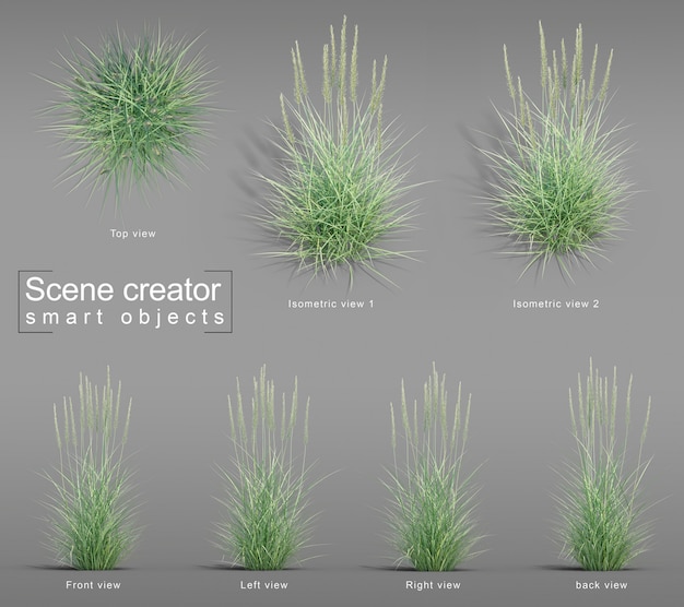 Rappresentazione 3d del creatore di scena dell'erba di Wildrye del grande bacino