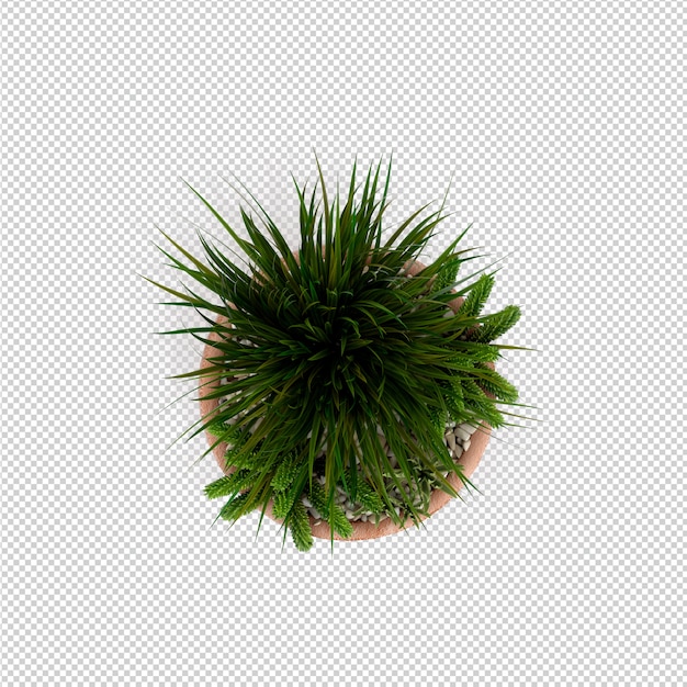 Rappresentazione isometrica della pianta 3d