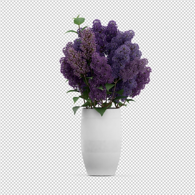 Rappresentazione isometrica della pianta 3d