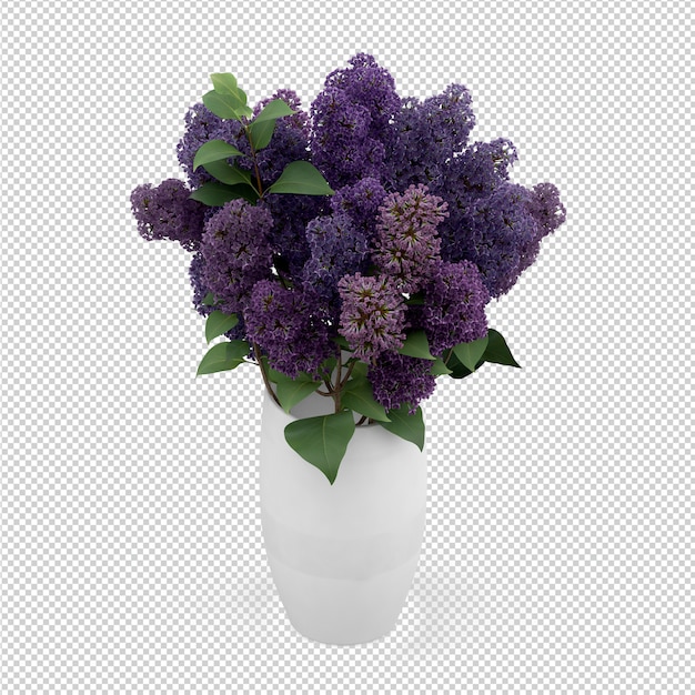 Rappresentazione isometrica della pianta 3d