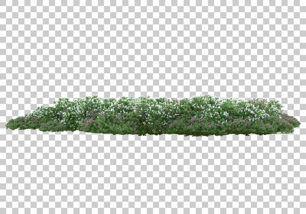 Rasen auf transparentem Hintergrund 3D-Darstellung
