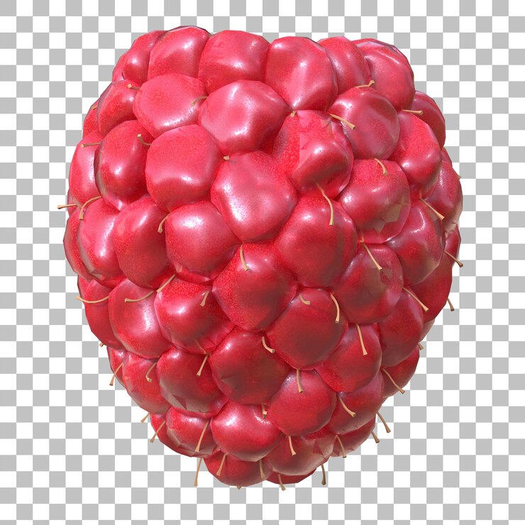 PSD raspberry 3d realistic