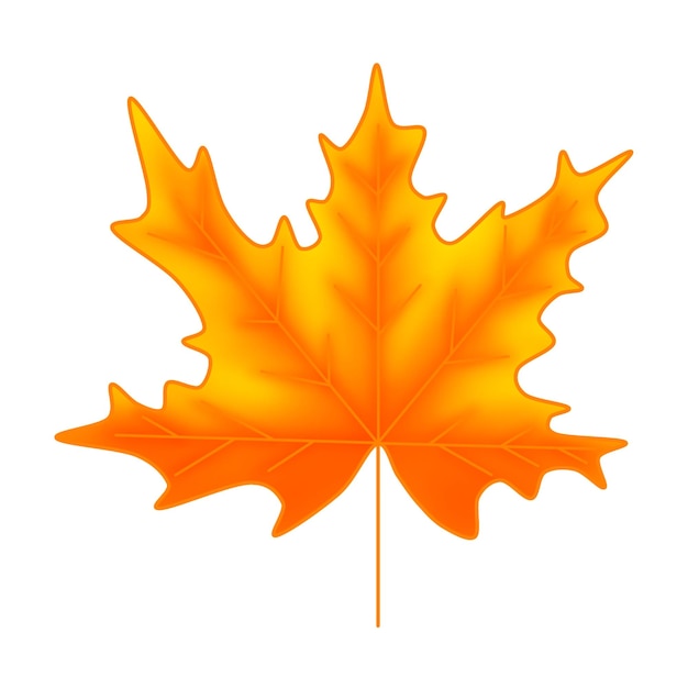Raster-Illustration mit orangefarbenem Ahornblatt