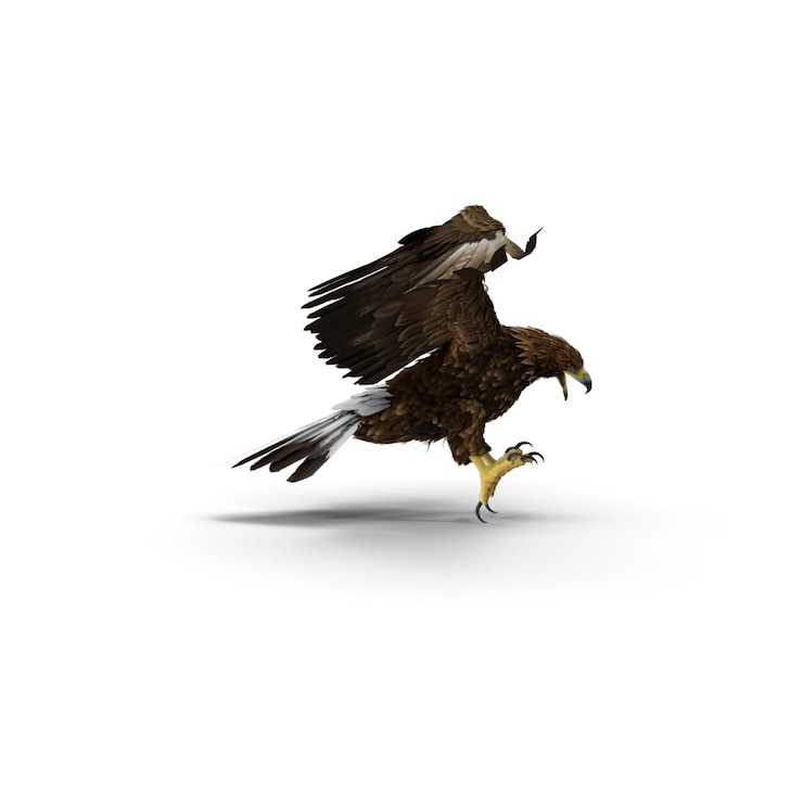 PSD realista 3d águila dorada atacando archivos psd detallados de vida silvestre y arte de aves