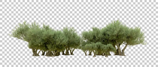 Realista bosque verde aislado en el fondo ilustración de renderización 3D