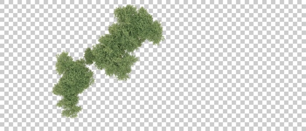Realista bosque verde aislado en el fondo ilustración de renderización 3D