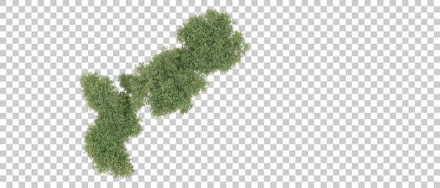 Realista bosque verde aislado en el fondo ilustración de renderización 3D