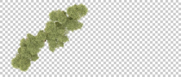 Realista bosque verde aislado en el fondo ilustración de renderización 3D