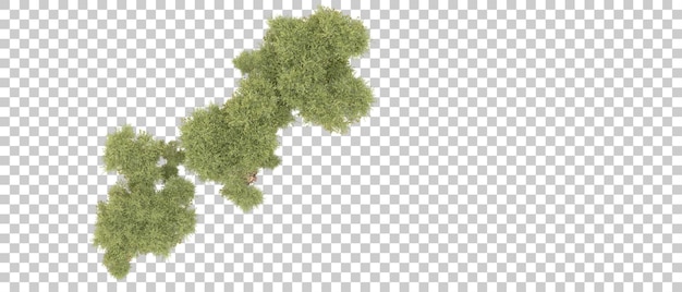 Realista bosque verde aislado en el fondo ilustración de renderización 3D