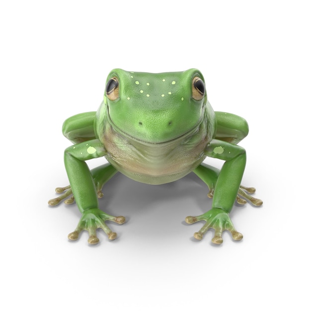 Realistic 3D Green Tree Frog PSD Files Detailed Wildlife and Amphibian Art
