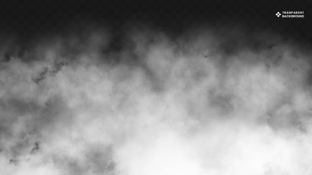 Realistic Fog and Smoke Effect for Atmospheric Scenes