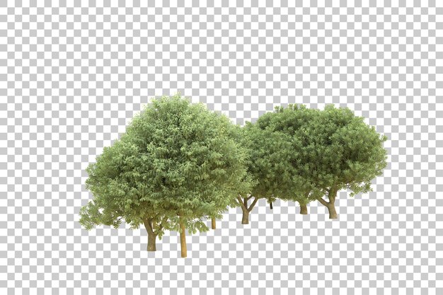 realistic forest isolated on transparent background 3d rendering illustration