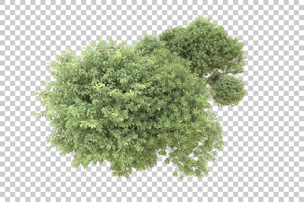 Realistic forest isolated on transparent background 3d rendering illustration
