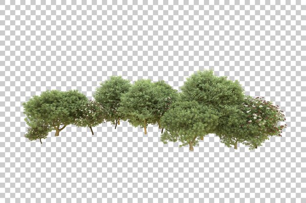 Realistic forest isolated on transparent background 3d rendering illustration