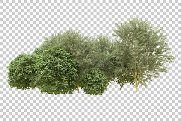 Realistic forest isolated on transparent background 3d rendering illustration