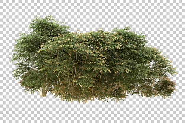 realistic forest isolated on transparent background 3d rendering illustration