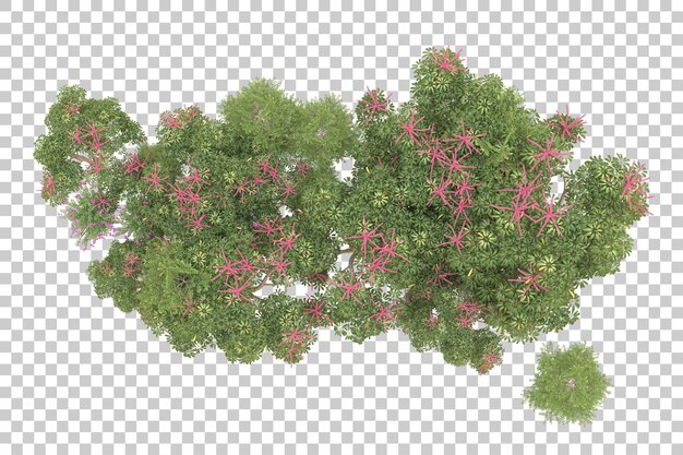 Realistic forest isolated on transparent background 3d rendering illustration
