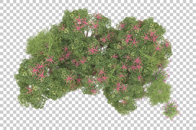 Realistic forest isolated on transparent background 3d rendering illustration
