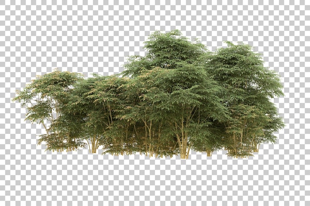 realistic forest isolated on transparent background 3d rendering illustration