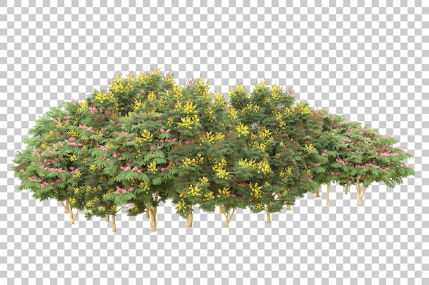 Realistic forest isolated on transparent background 3d rendering illustration