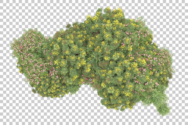 Realistic forest isolated on transparent background 3d rendering illustration