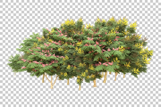 Realistic forest isolated on transparent background 3d rendering illustration
