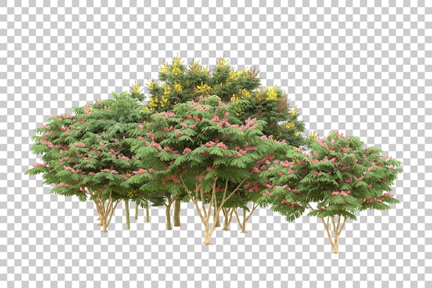 Realistic forest isolated on transparent background 3d rendering illustration