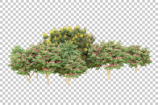 Realistic forest isolated on transparent background 3d rendering illustration