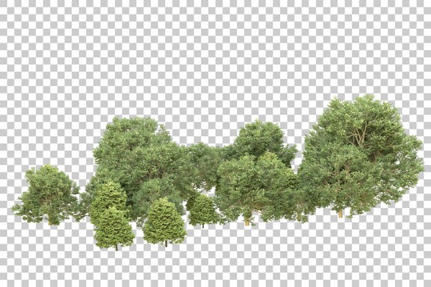 Realistic forest isolated on transparent background 3d rendering illustration