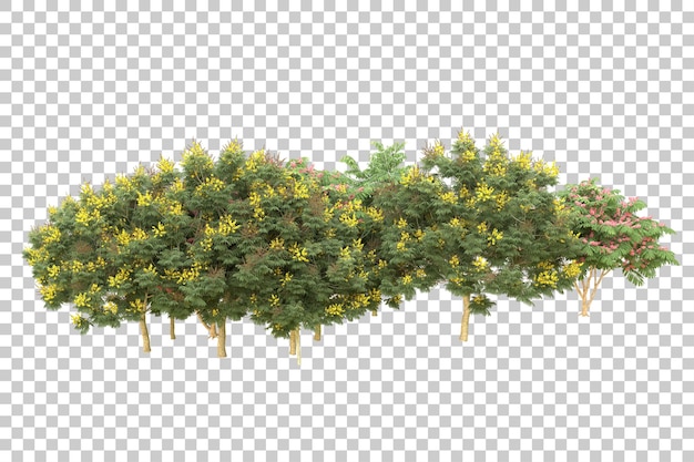 Realistic forest isolated on transparent background 3d rendering illustration