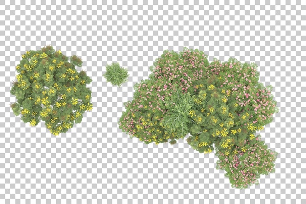 Realistic forest isolated on transparent background 3d rendering illustration